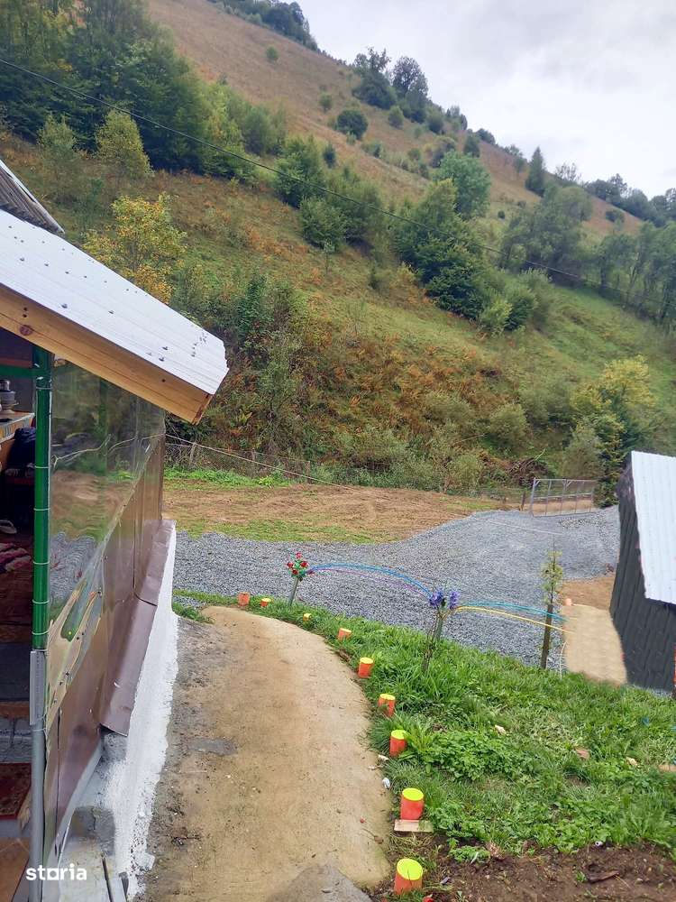 Casa Muntii Apuseni - Bistra - Imagine principală: 5/9