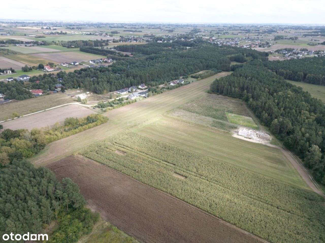Kompleks działek w cichym i spokojnym Kawęczynie - Pełny obrazek: 4/6