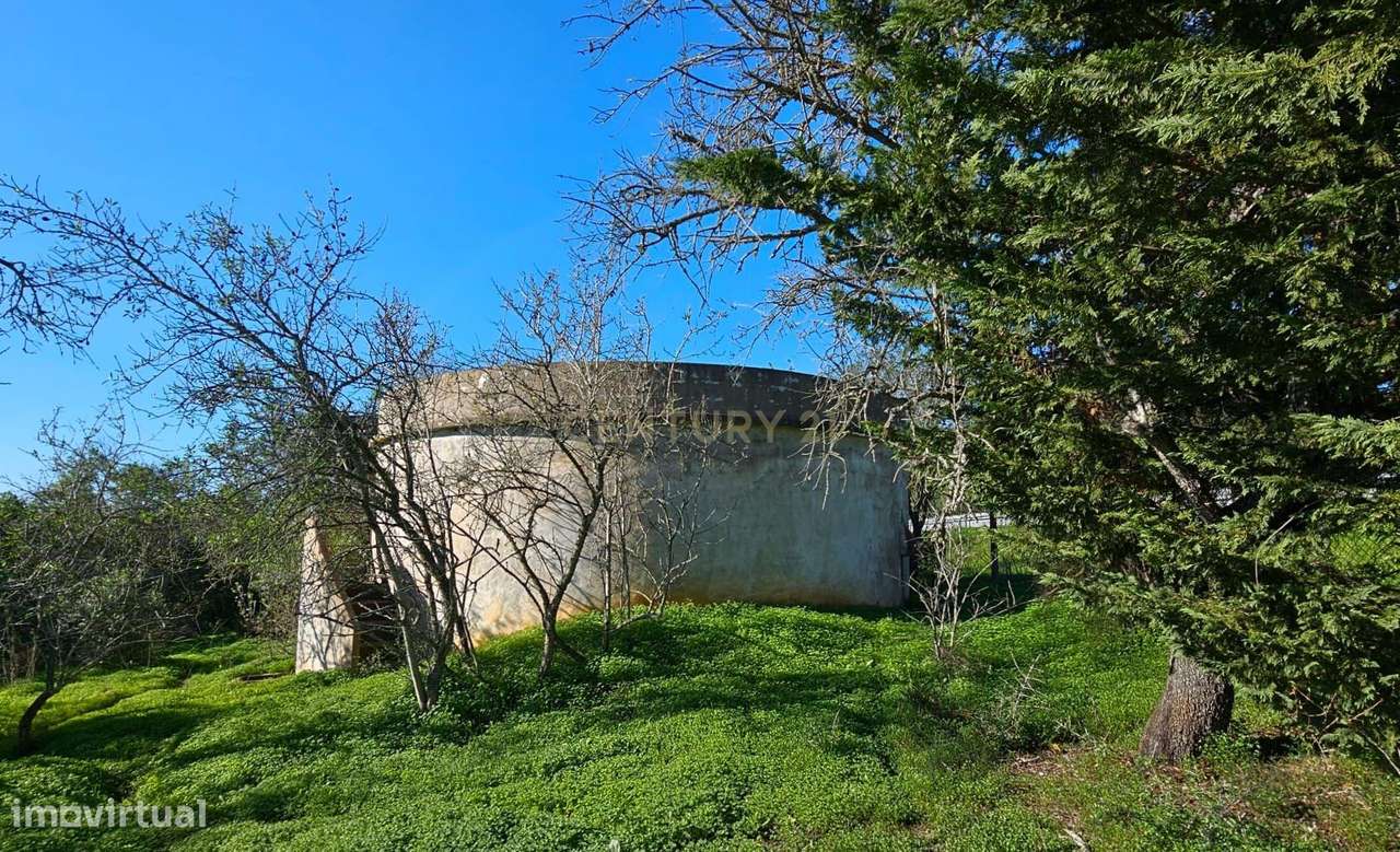 Quinta em Lagos, Praia da Luz,  46.000 m2, 2 casas e 2 Armazéns-19