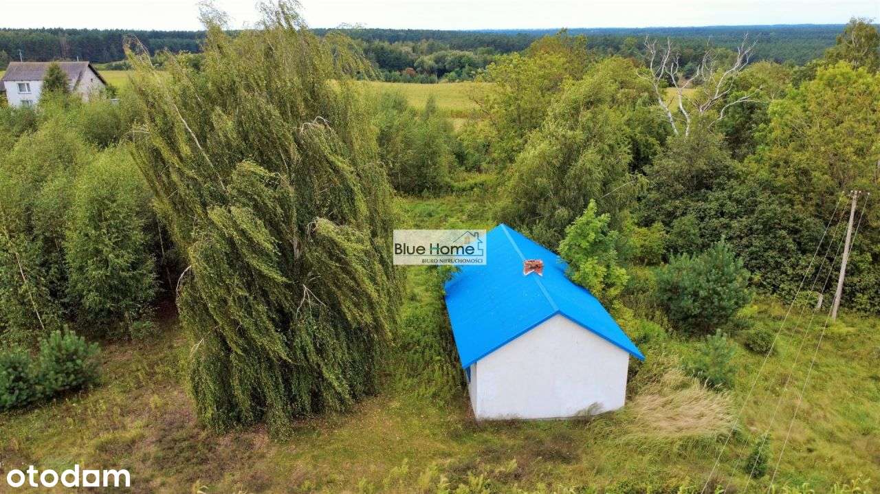 Dom Na Sprzedaż W Pięknej Okolicy - Ciechocin - Pełny obrazek: 4/15