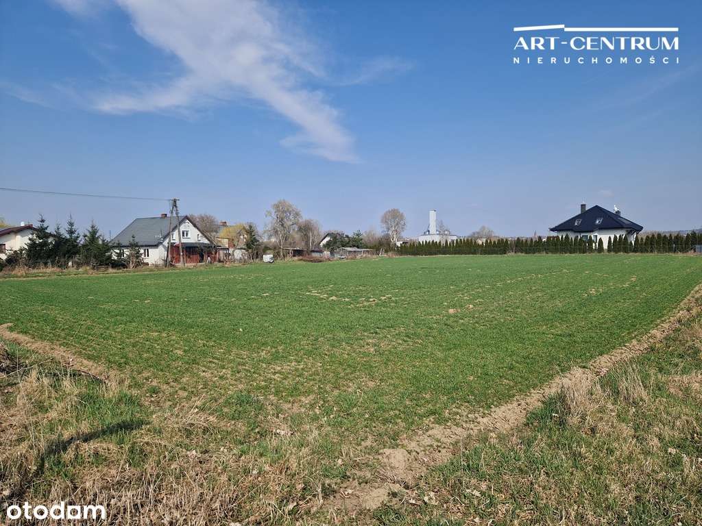 Działka rolno-budowlana pod Świeciem - Pełny obrazek: 5/9