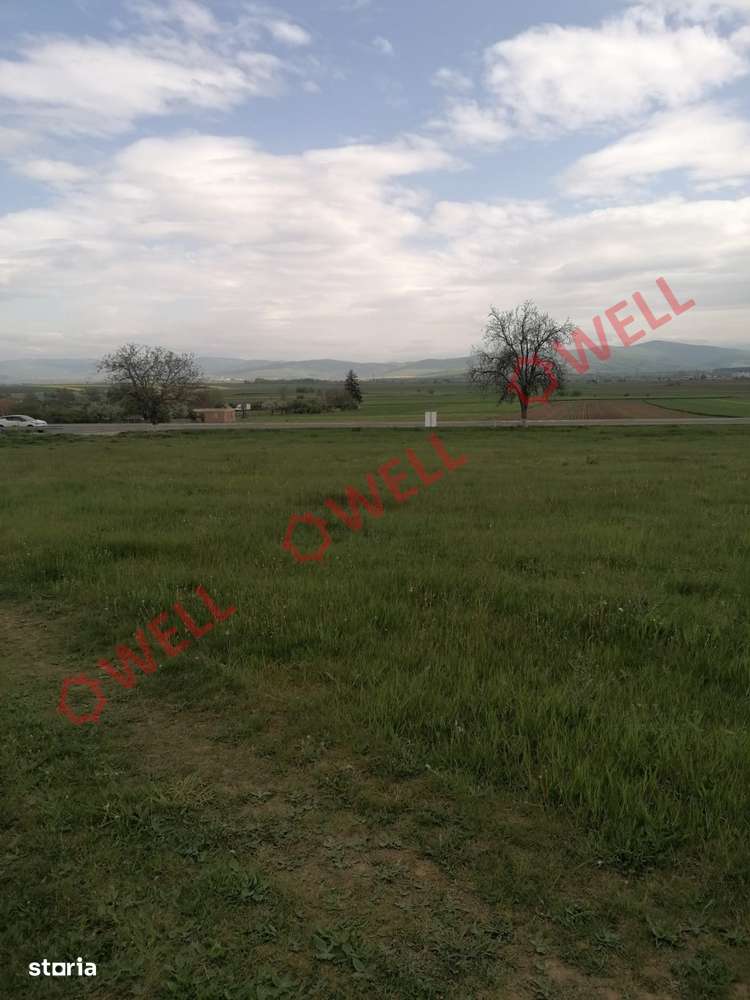 Teren intravilan de vânzare în Moacșa (Eresteghin)! - Imagine principală: 4/10