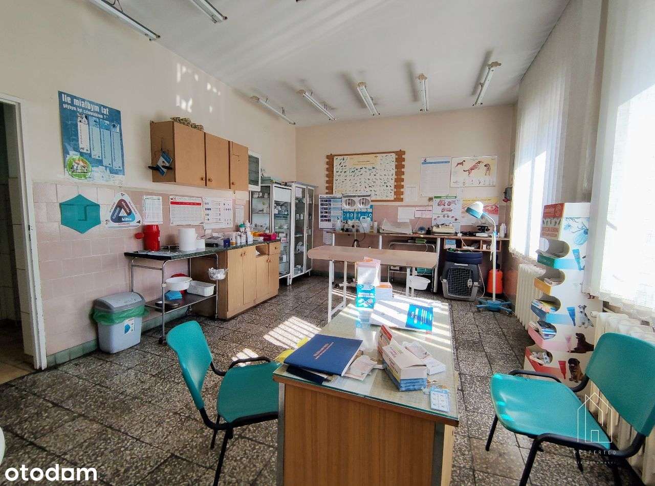 Lokal usługowy 130 m² - przychodnia weterynaryjna-7