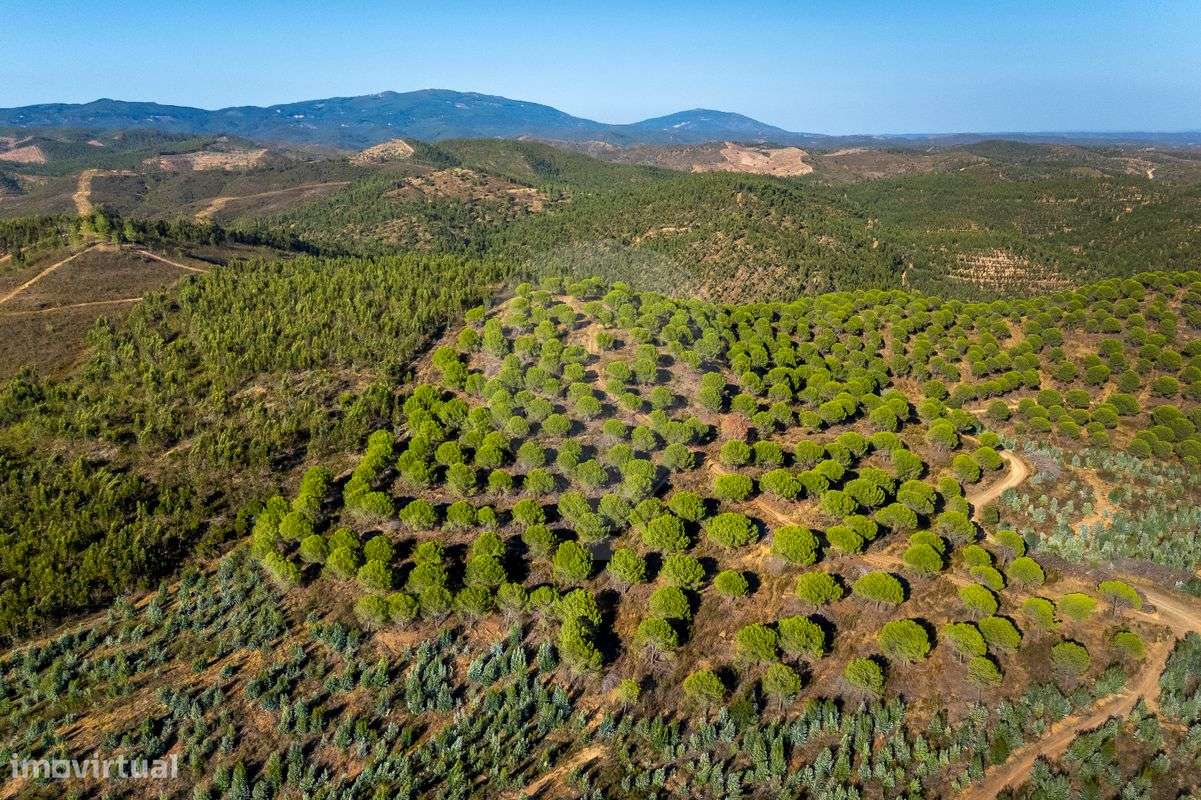 Quinta  para venda - Grande imagem: 2/17