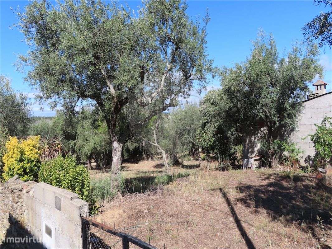 Quinta  para venda - Grande imagem: 3/25