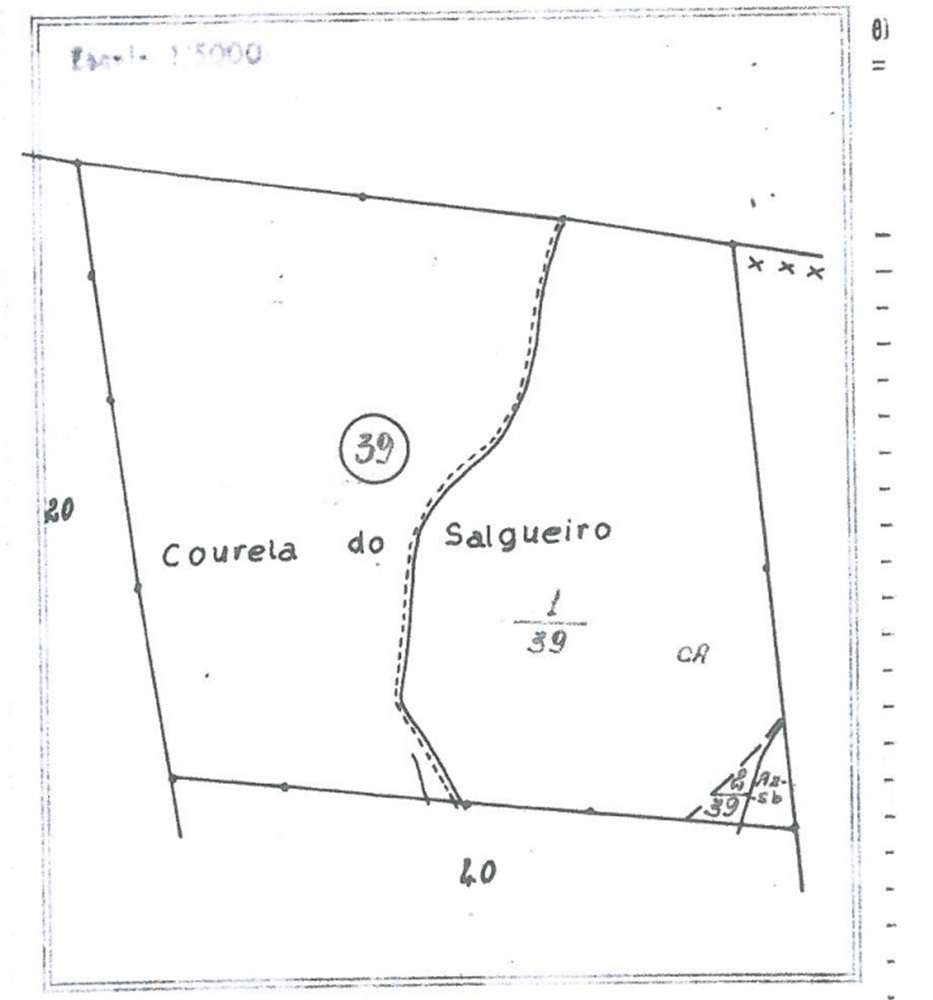 Herdade de Montado -Grândola - Grande imagem: 3/3