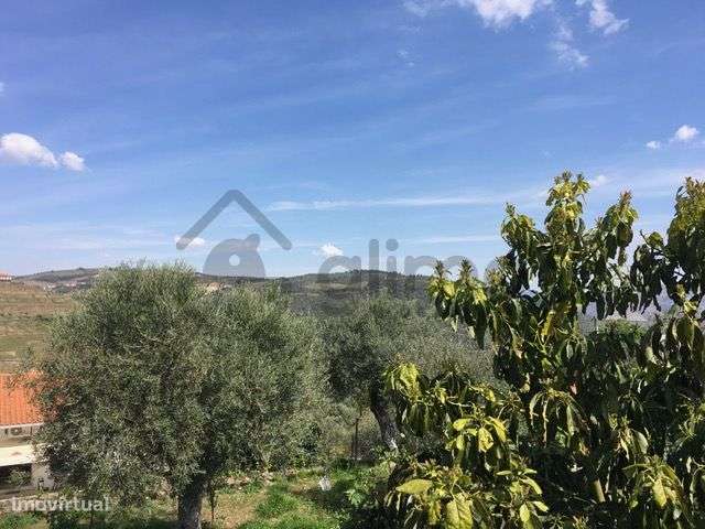 Casa com Terreno em Vilarinho de Cotas, Douro-23