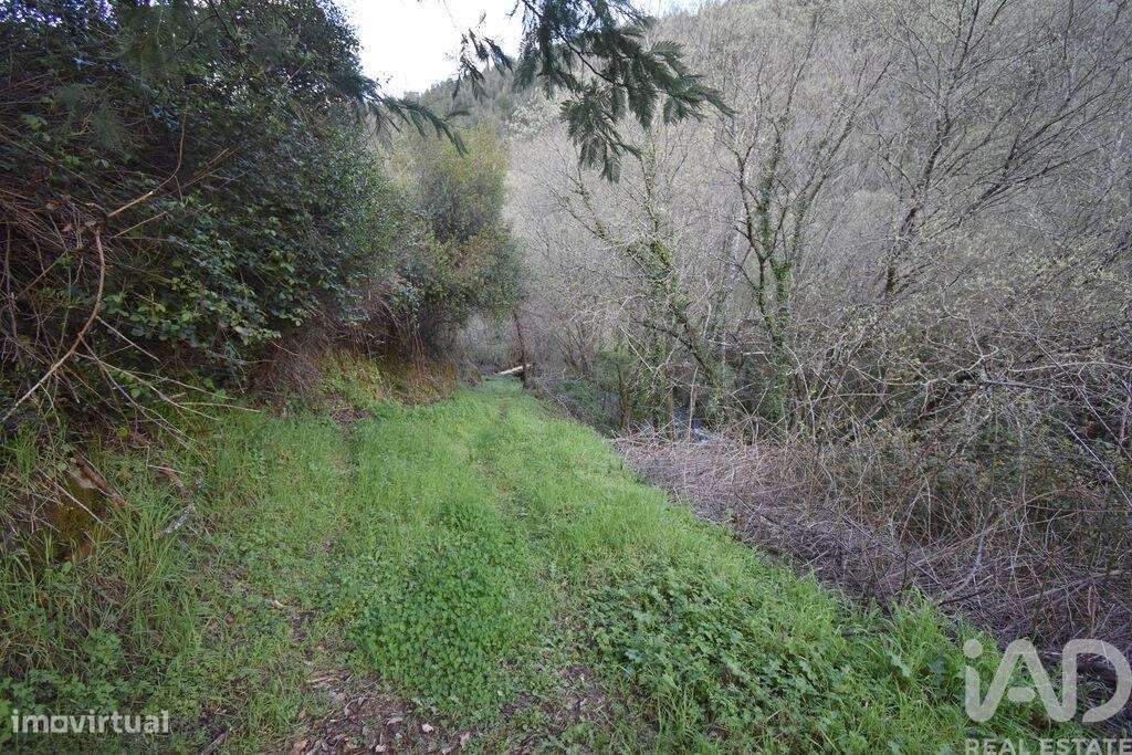 Terreno Agrícola em São Miguel, Santa Eufémia e Rabaçal - Grande imagem: 5/22