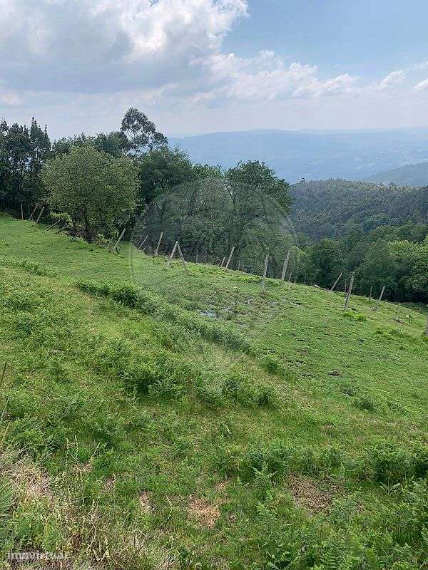 Terreno  para venda-6
