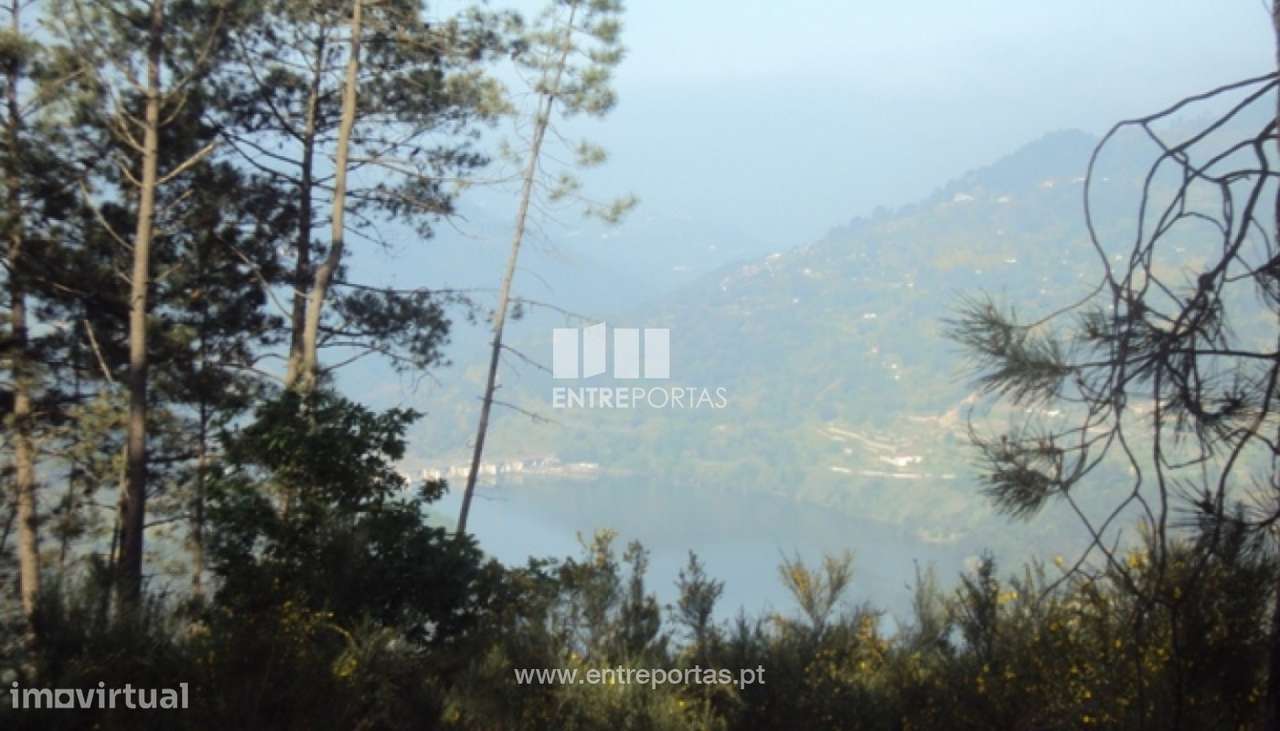 Venda Terreno, São Cristóvão de Nogueira, Cinfães - Grande imagem: 5/13