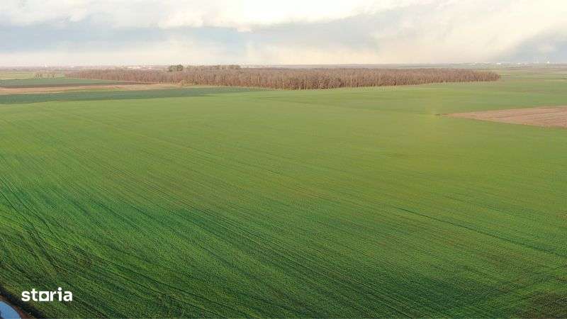 Teren Arabil compact 18ha intabulat - Imagine principală: 5/8