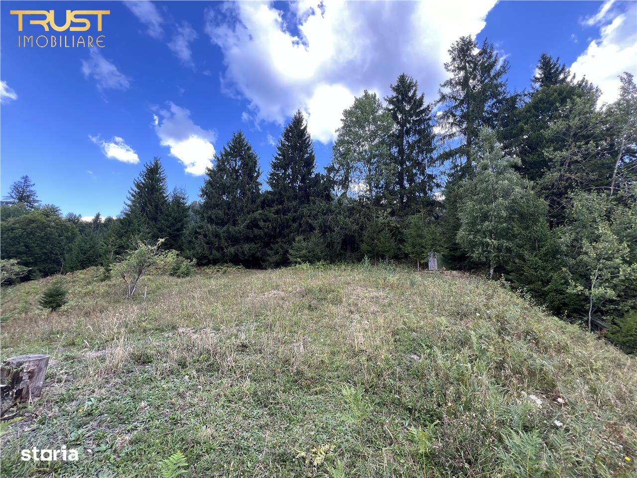 Teren  intravilan Colibita 2300 mp panoramic - Imagine principală: 2/12