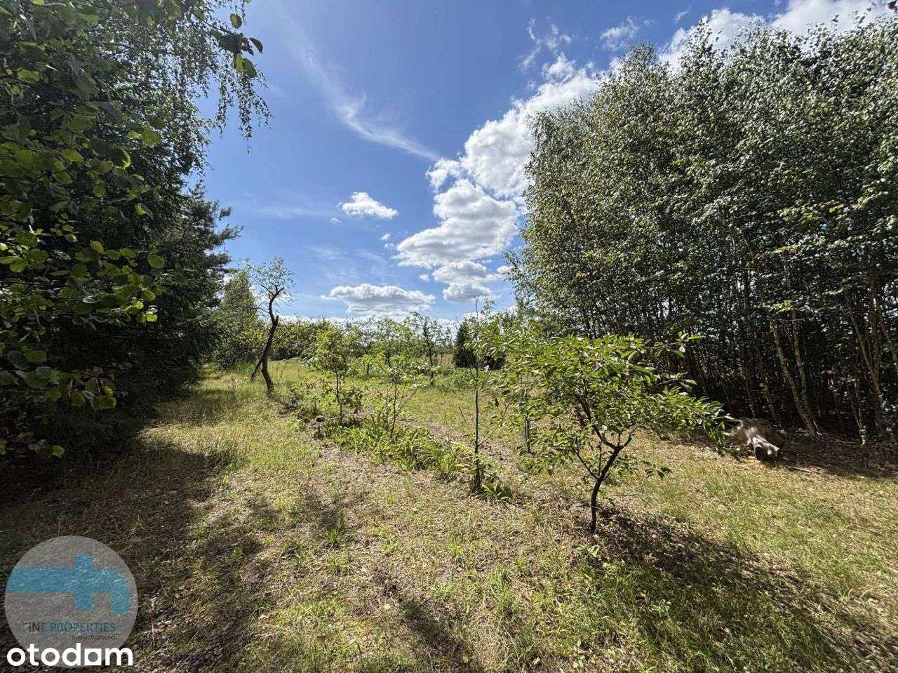 Piękna działka w Szymanówku wśród sosen - Pełny obrazek: 4/5