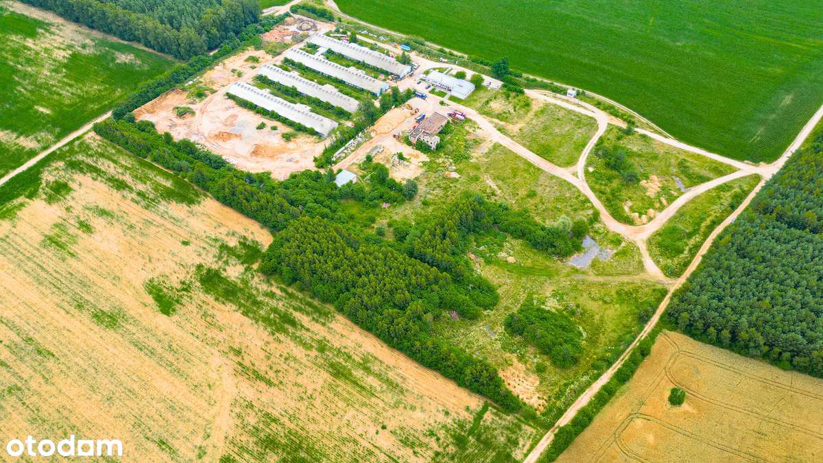 Działka przemysłowo-usługowa tuż przy węźle dróg ekspresowych S7 i S51 - Pełny obrazek: 5/6