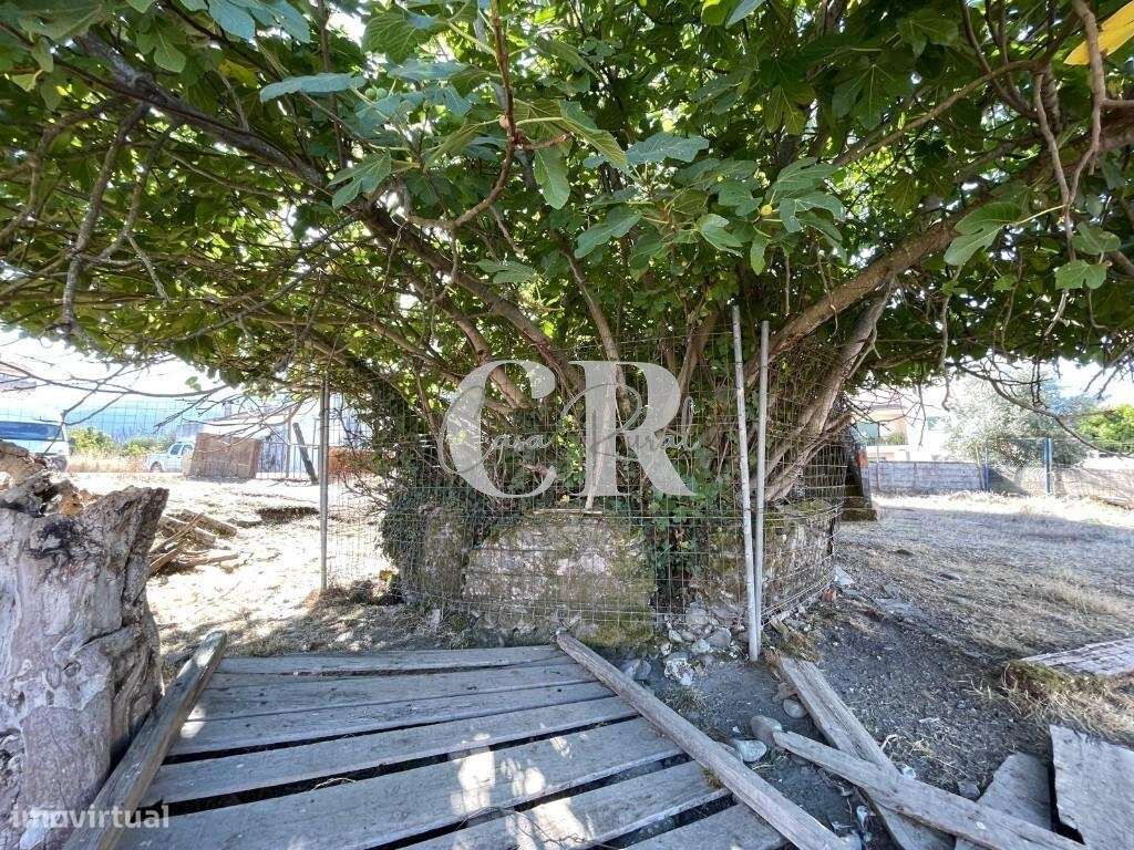 6 Prédios Urbanos e um Terreno Rústico para Renovação – Lousã-34