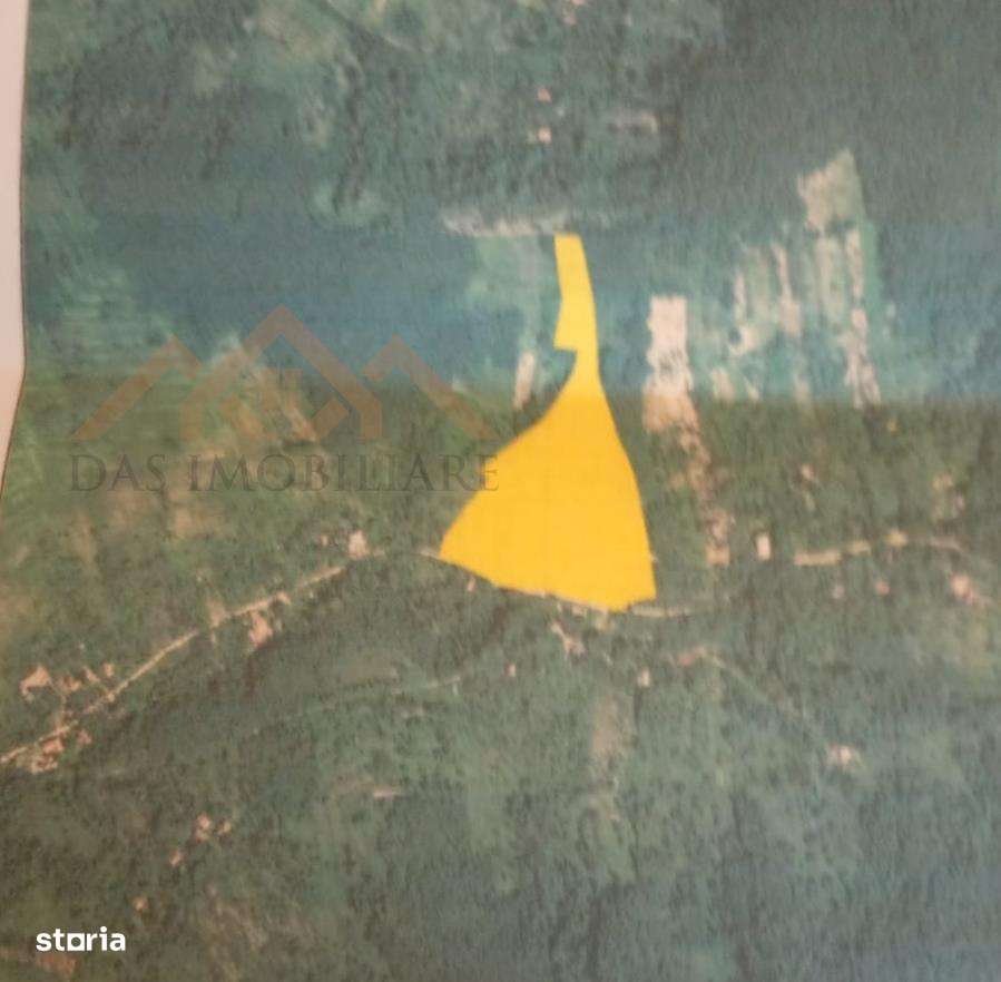 Teren intravilan,  2,5 ha, zona de deal in Seini - Imagine principală: 3/5