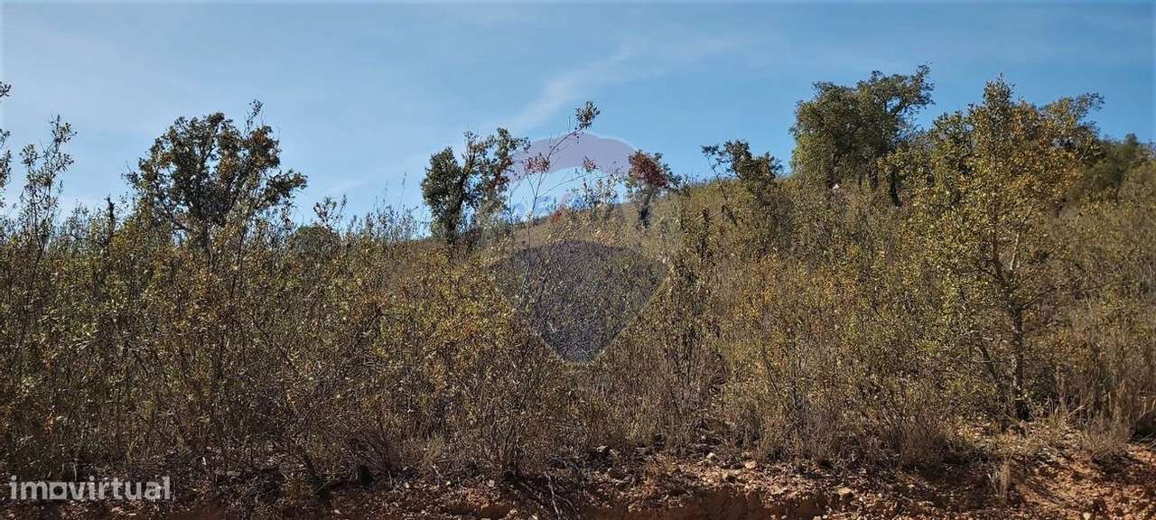 Terreno  para venda - Grande imagem: 4/10