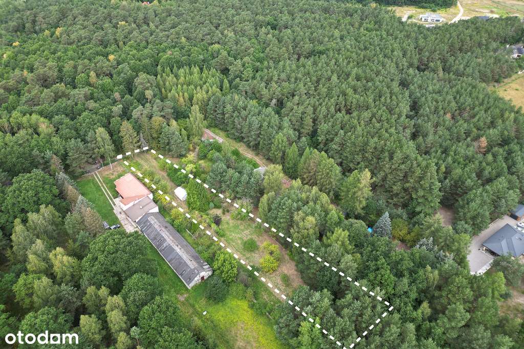 Działka budowlana Cerekiew, ul.Cisowa,obok Radomia - Pełny obrazek: 4/6