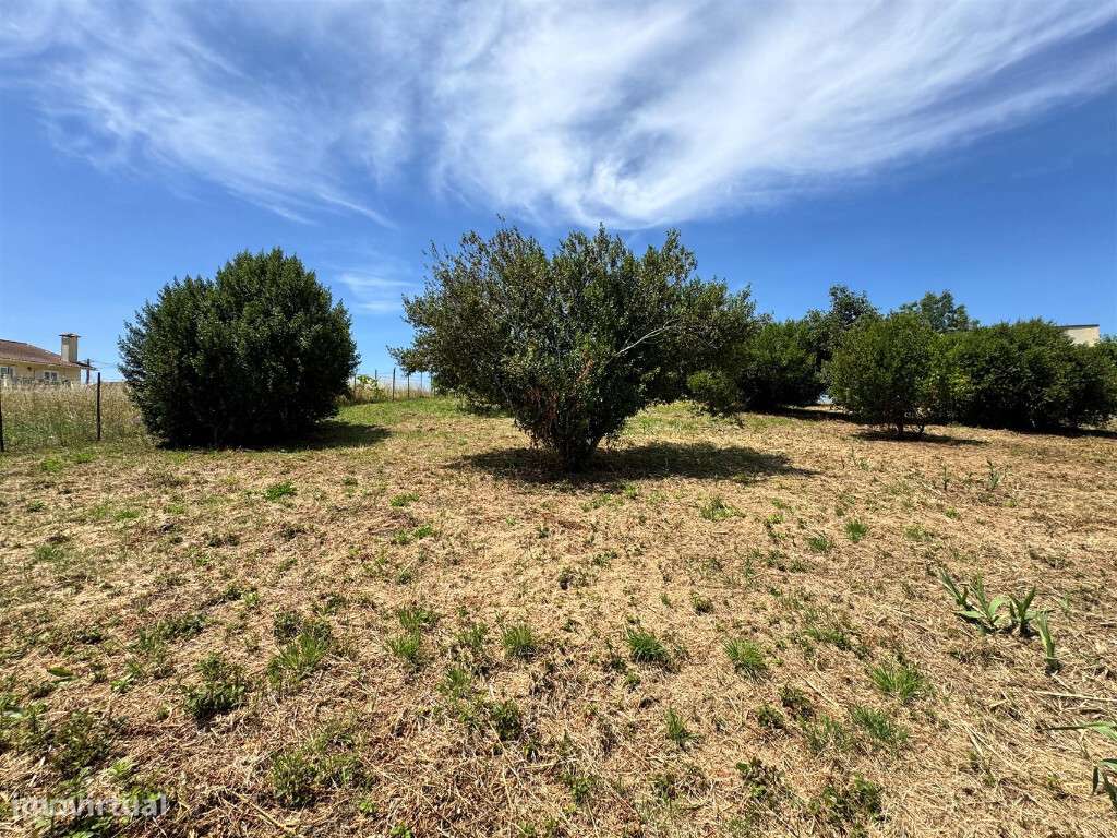 Terreno para  construção em São Martinho do Bispo - Grande imagem: 3/7