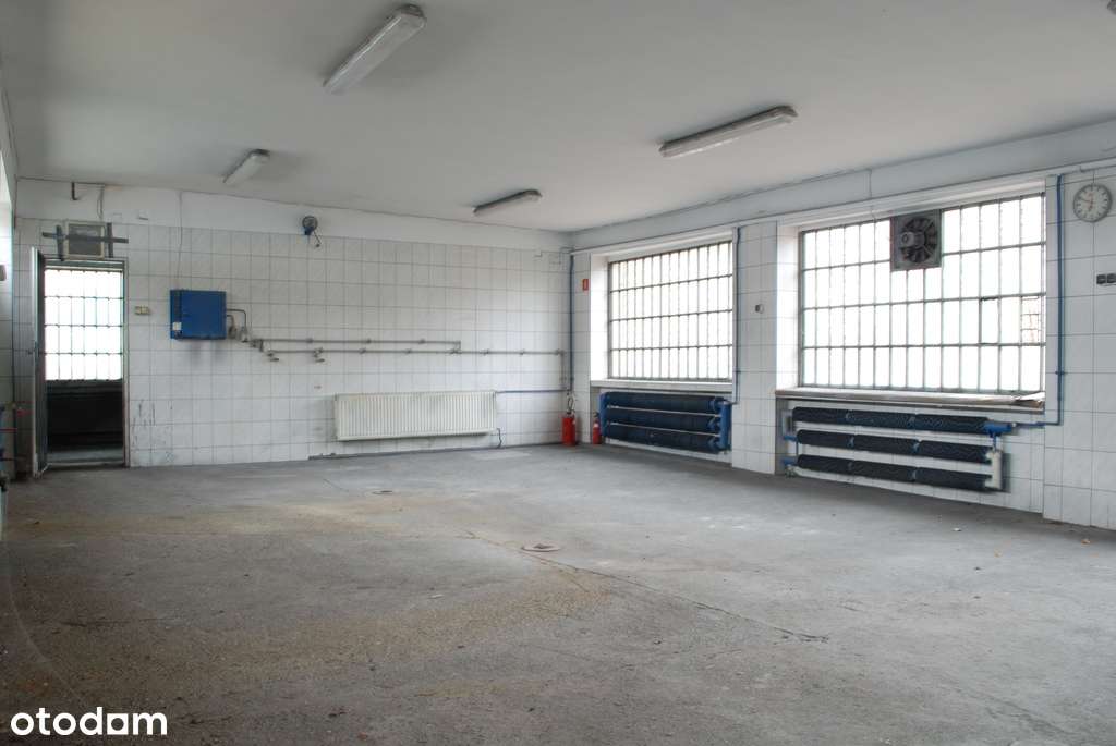 Warsztat samochodowy w centrum Mikołowa - Pełny obrazek: 4/10