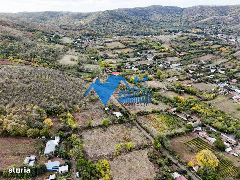 Teren intravilan NICULITEL, zona deosebita, 3044MP-1