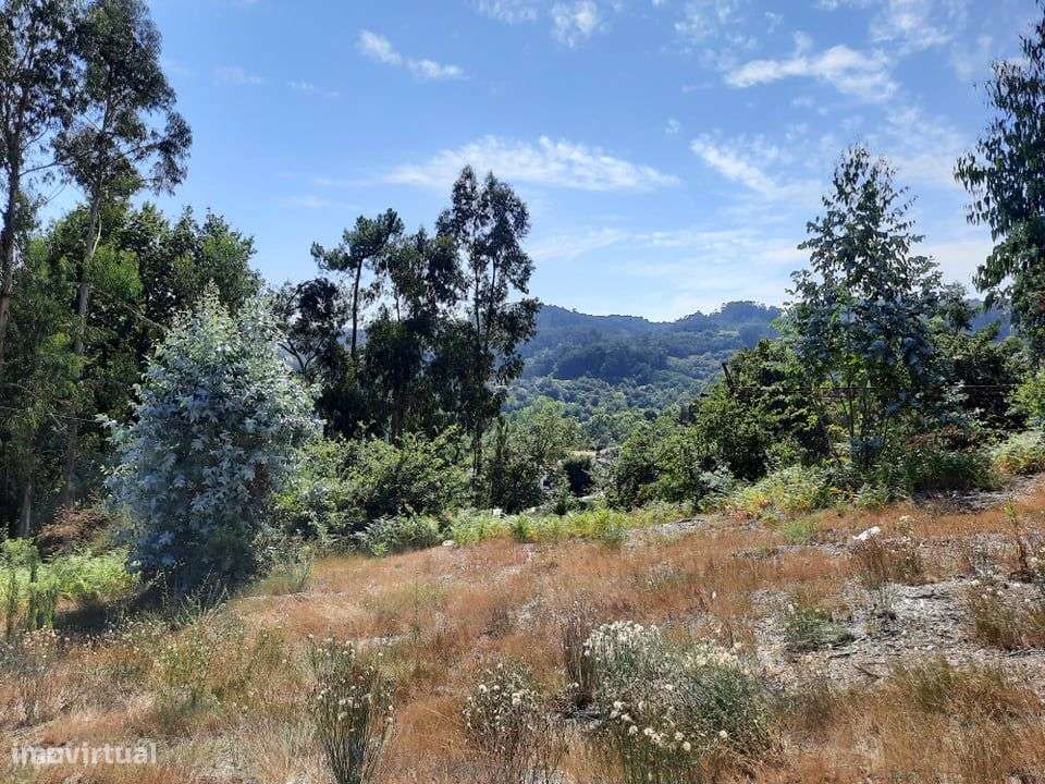 Terreno para Construção em Travassós, Fafe - Grande imagem: 2/12