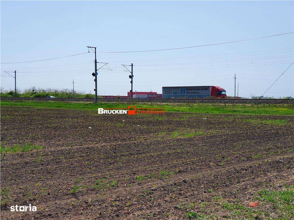 113,21 ha in nordul Aradului, la iesirea de pe drumul expres-9