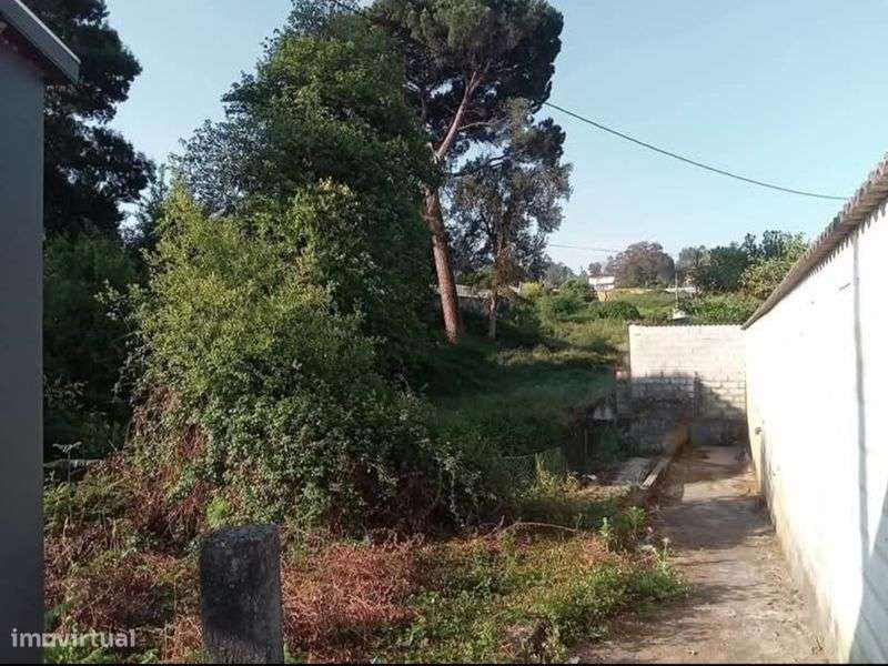 Terreno face da E.N 205(Prado/Barcelos) 3.200m2 - Grande imagem: 4/5