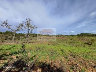 Terreno para Turismo a 20 minutos das praias - Litoral Alentejano - Grande imagem: 5/9