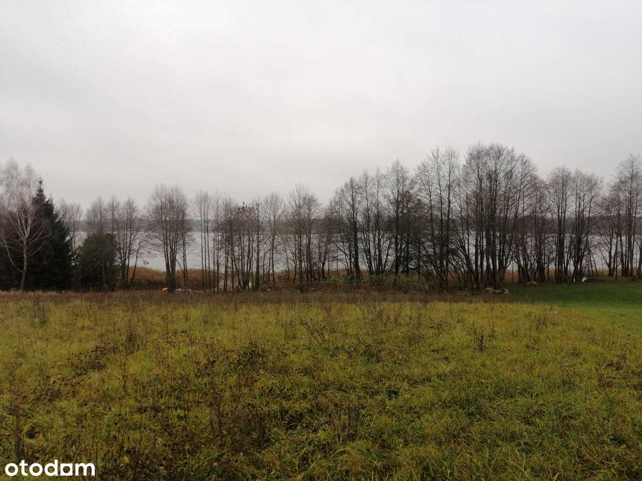 OKAZJA działka budowlana nad jeziorem Berżnik z linią brzegową - Pełny obrazek: 5/11