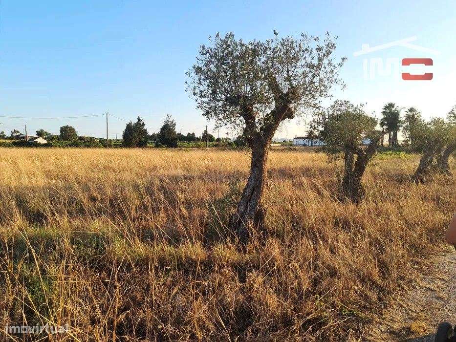 Terreno Rustico de 6.000m² com possibilidade de construção de uma m... - Grande imagem: 2/11