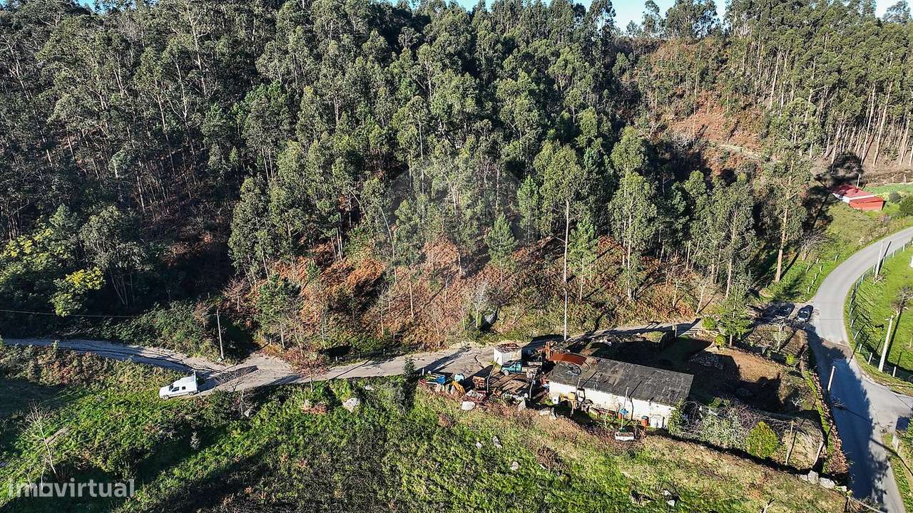 Quinta  para venda-22