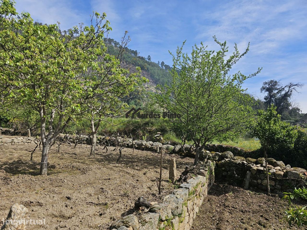 Quinta na Serra da Gardunha