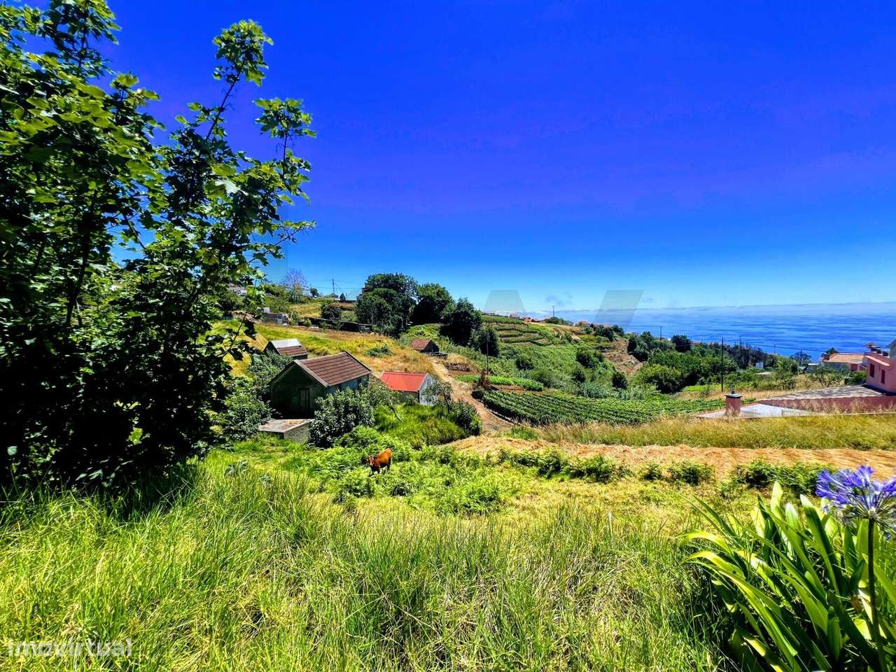 Fajã da Ovelha - O seu Refugio na Madeira-16