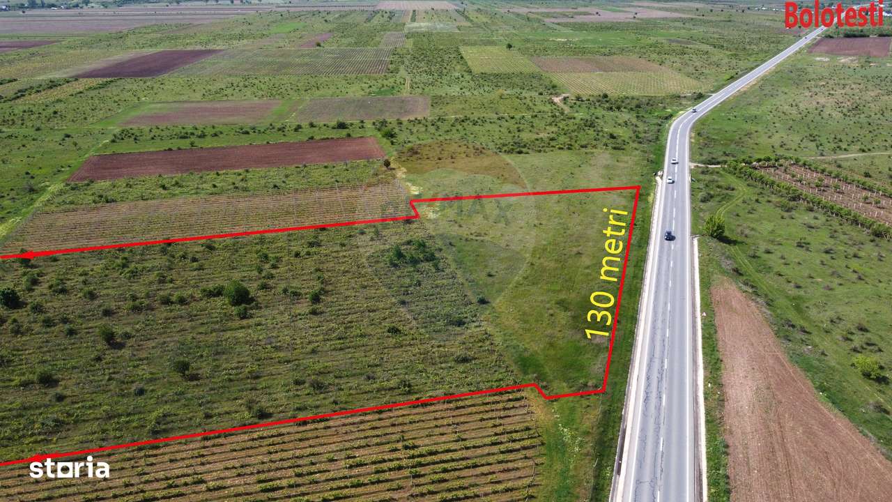 Teren Bolotesti pe soseaua Vrancei - Imagine principală: 3/6