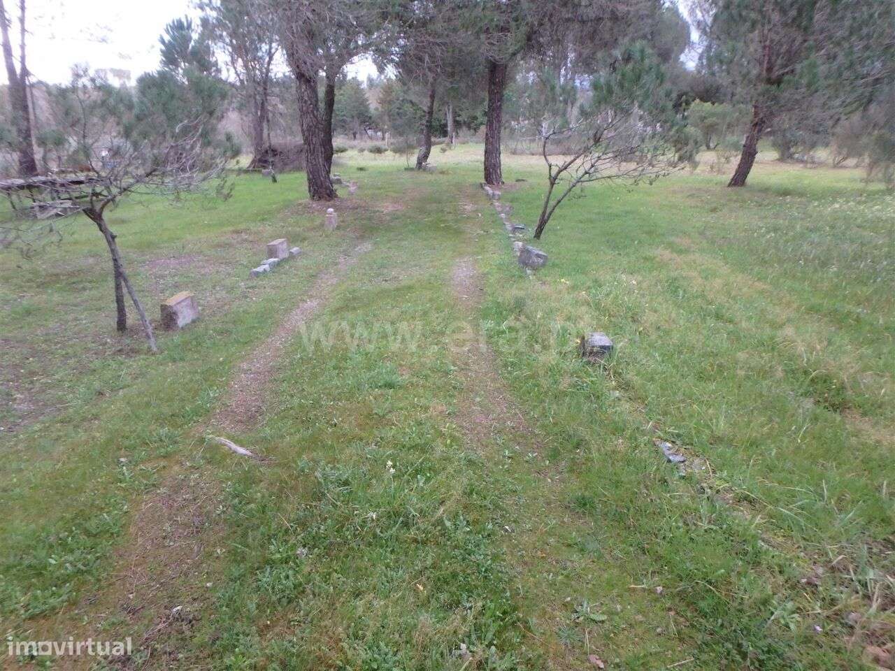 Quinta Estúdio / Seia, Santa Marinha e São Martinho - Grande imagem: 3/10