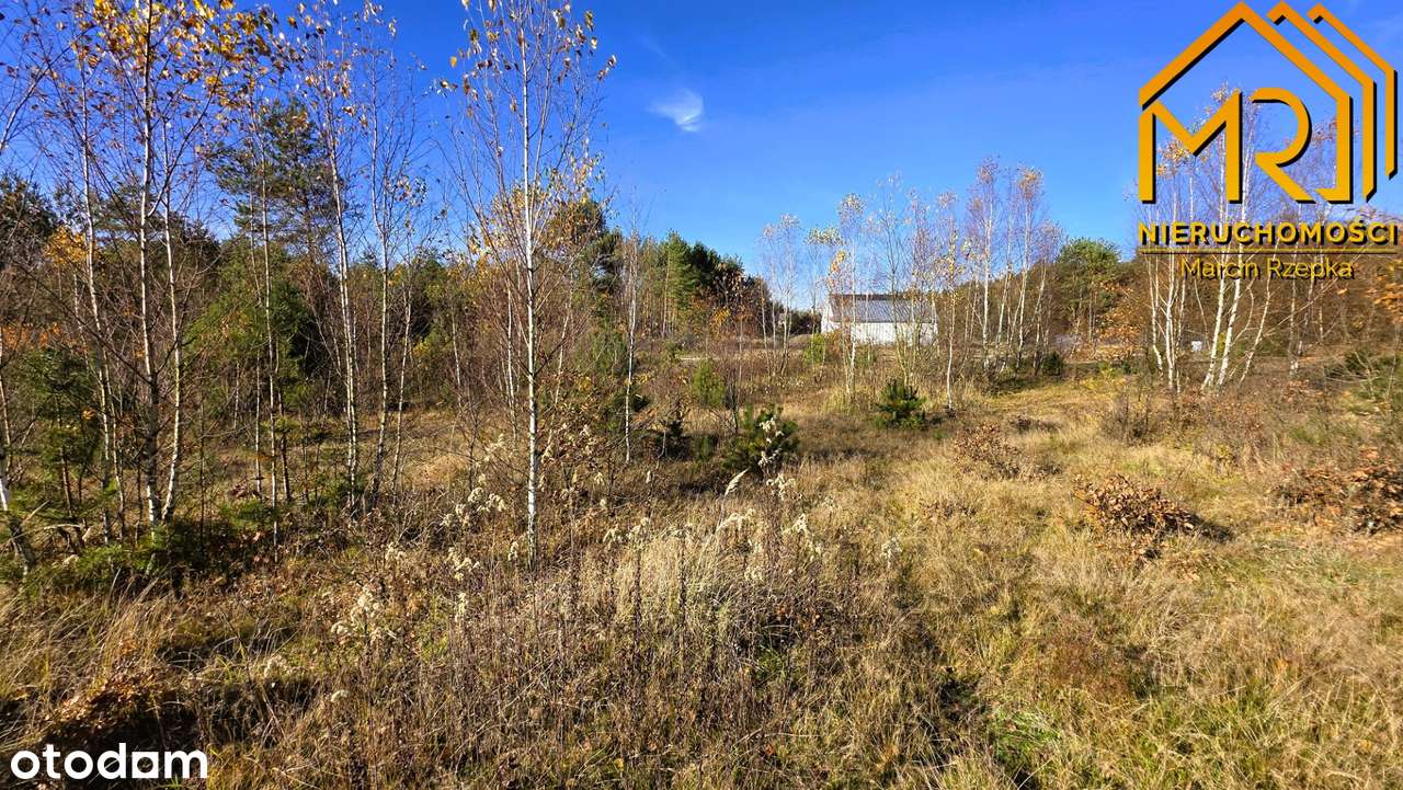 Działka z pełną dokumentacją budowlaną w gminie Czarna-12