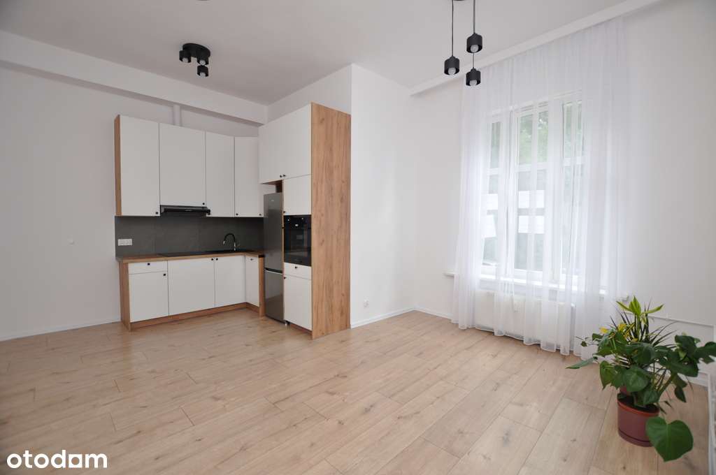 3 pokoje przy parku po kapitalnym remoncie - Pełny obrazek: 5/12