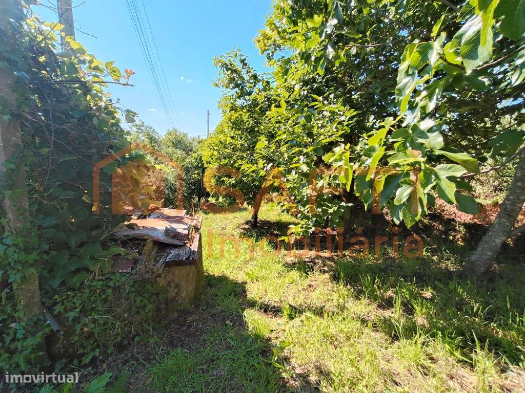 MORADIA T2 COM ANEXOS, POÇO, TANQUE DE REGA E E TERRENO DE CULTIVO.-27