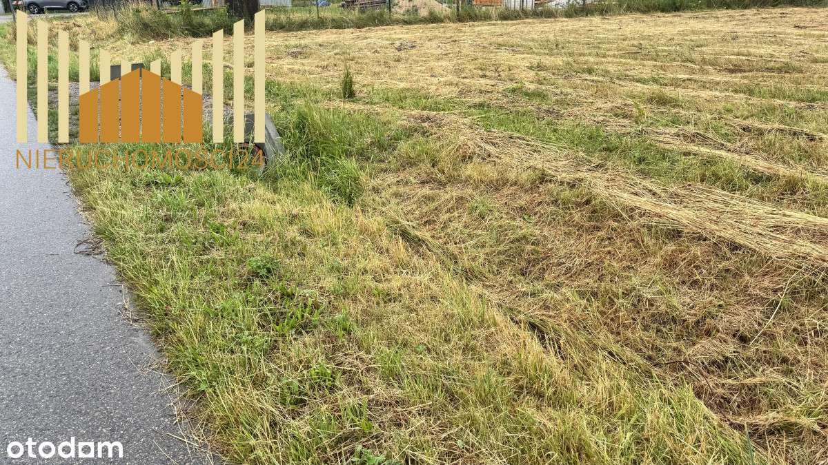 Atrakcyjna Cena - Pełny obrazek: 4/6