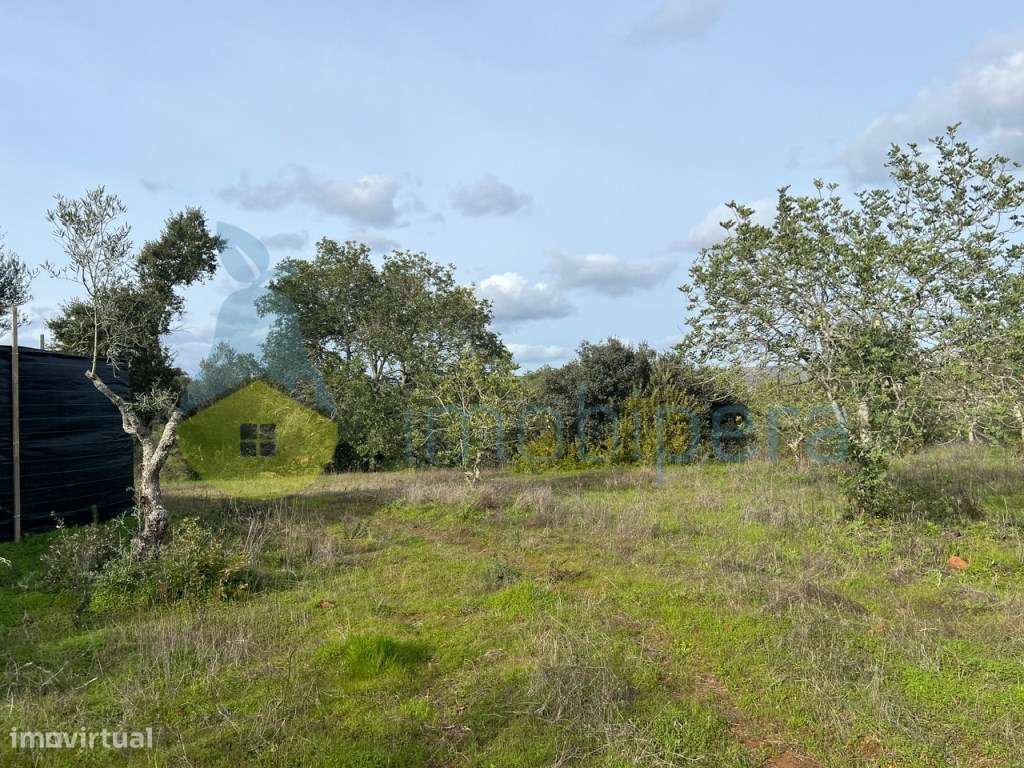 TERRENO RÚSTICO 1680 M2 EM ALCARIA-PADERNE - Grande imagem: 3/20