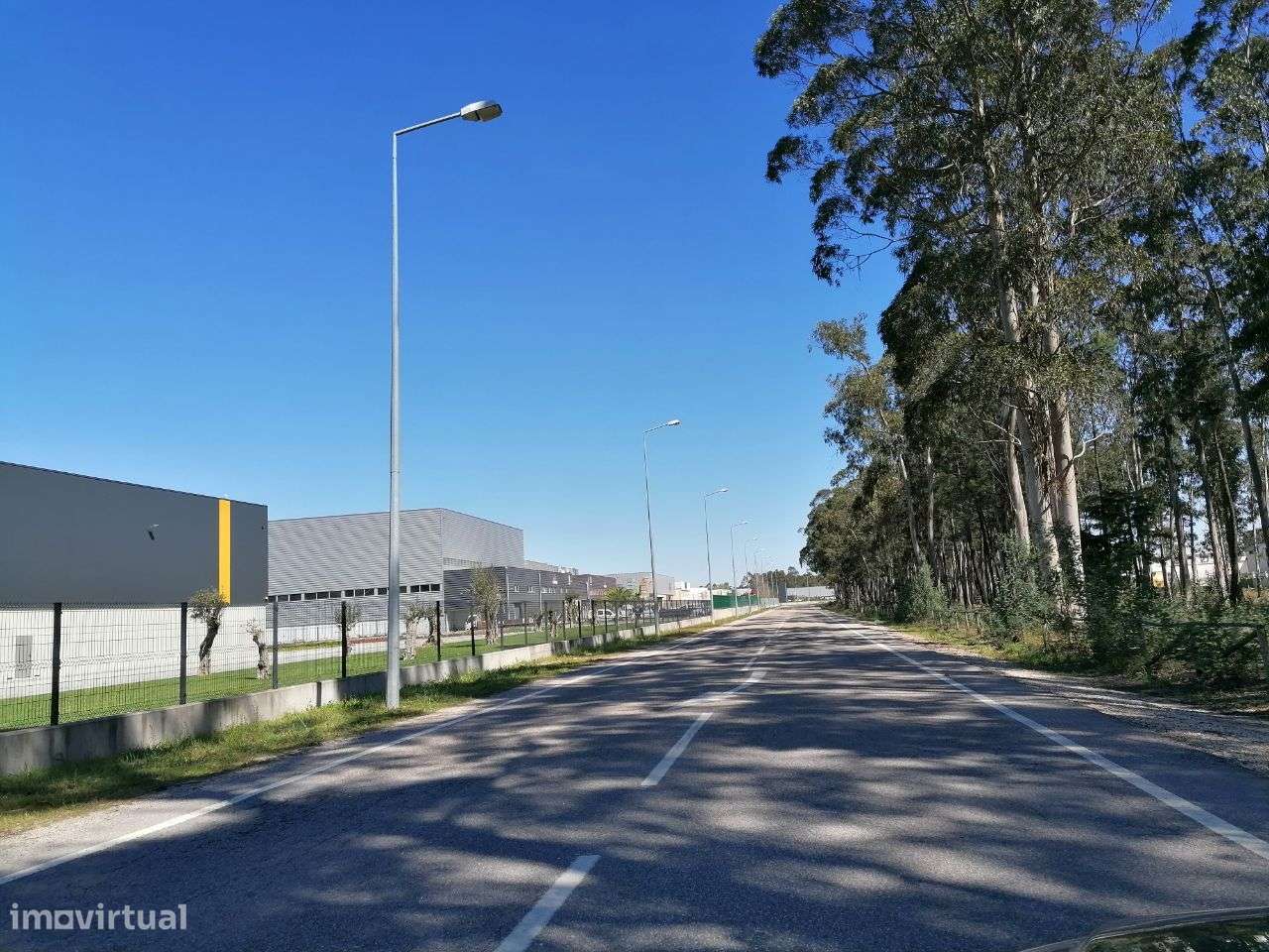 Zona Industrial CANTANHEDE - LOTE de Excelência-9