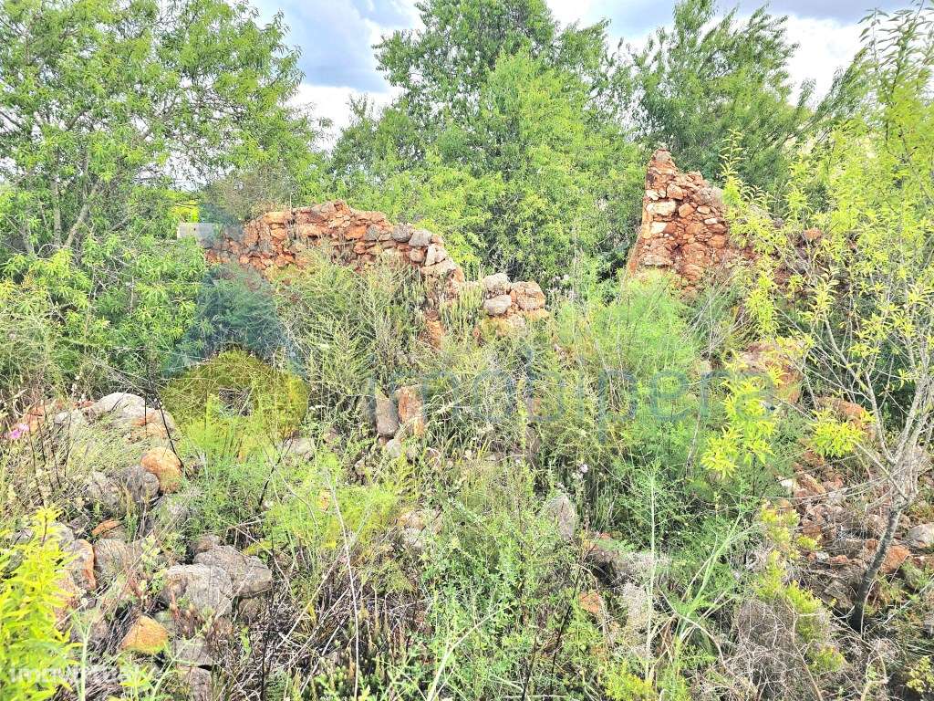 Algarve, Silves, Faxelhas! Terreno de 23.786m2 e Urbano: 120m2. Ime... - Grande imagem: 5/12