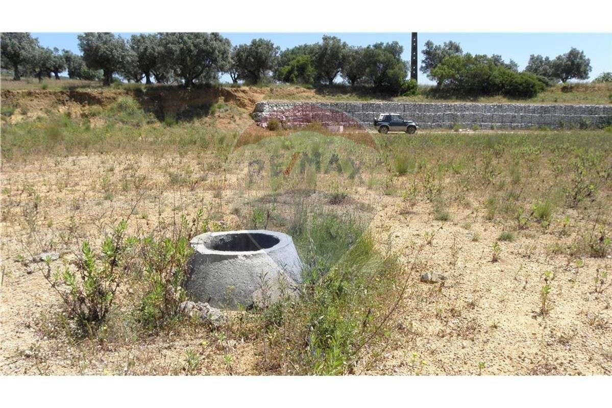 TERRENO PARA CONSTRUÇÃO DE ARMAZÉM INDUSTRIAL - Grande imagem: 4/12