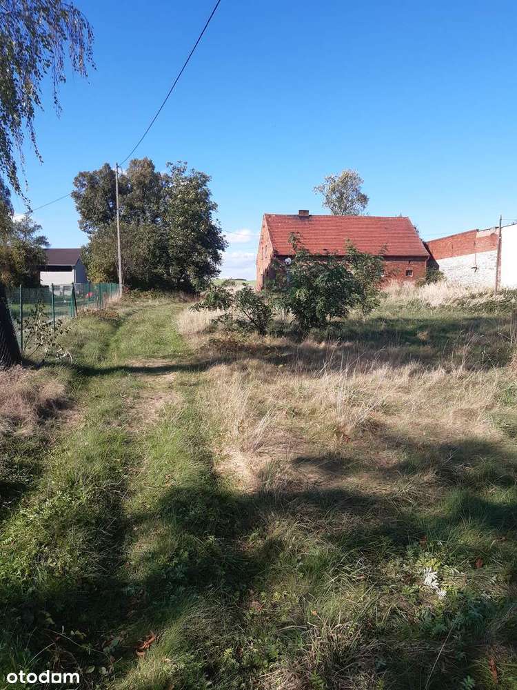 Dom do remontu z dużą działką (możliwość podziału)-7