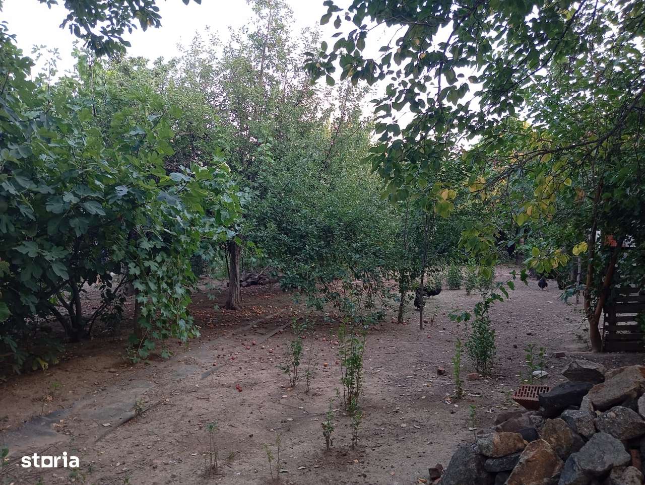 Loc de casa in Bujac - Imagine principală: 4/12