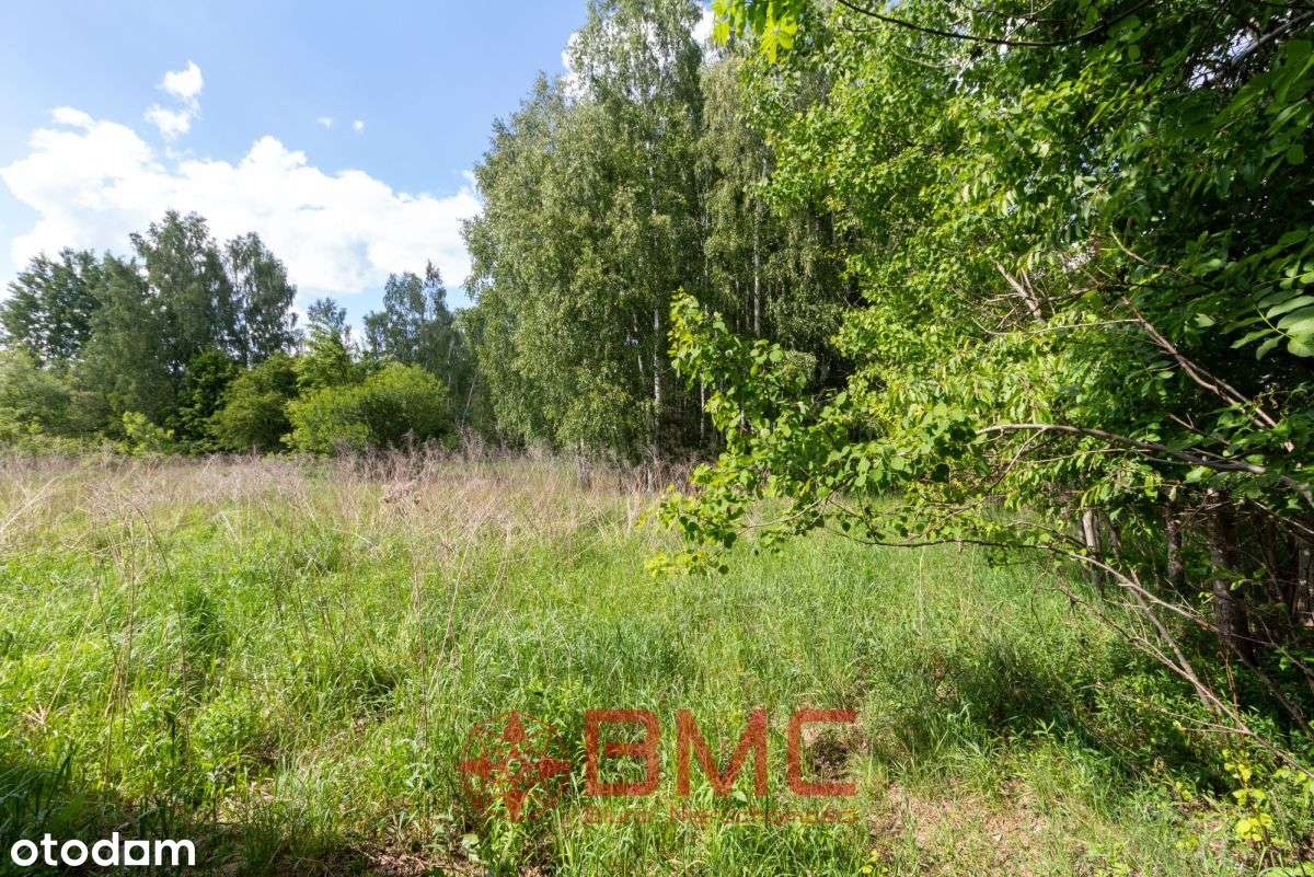 Działka 0,95ha  + dom+ stodoła Woda Prąd Długi Kąt - Pełny obrazek: 5/20