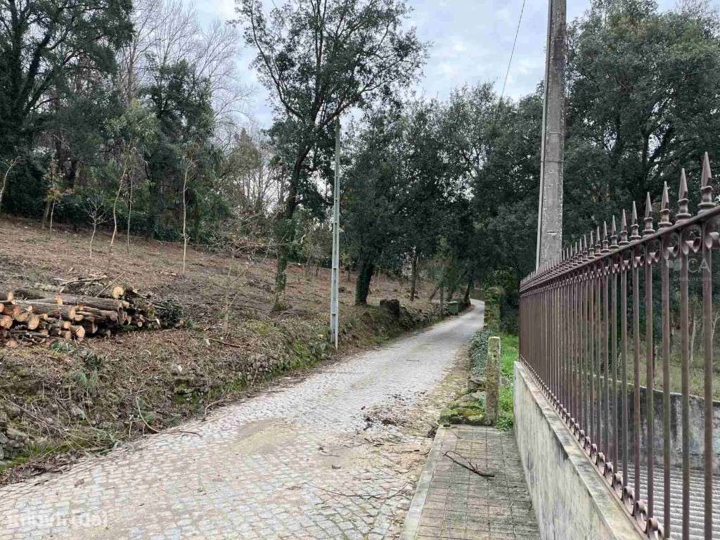 TERRENO RÚSTICO - BOUÇA DE TRÁS DAS SEARAS - Grande imagem: 2/9