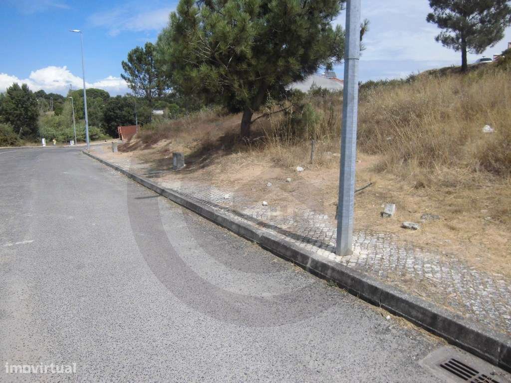 Lote Terreno - Alto do Bexiga - Grande imagem: 3/3