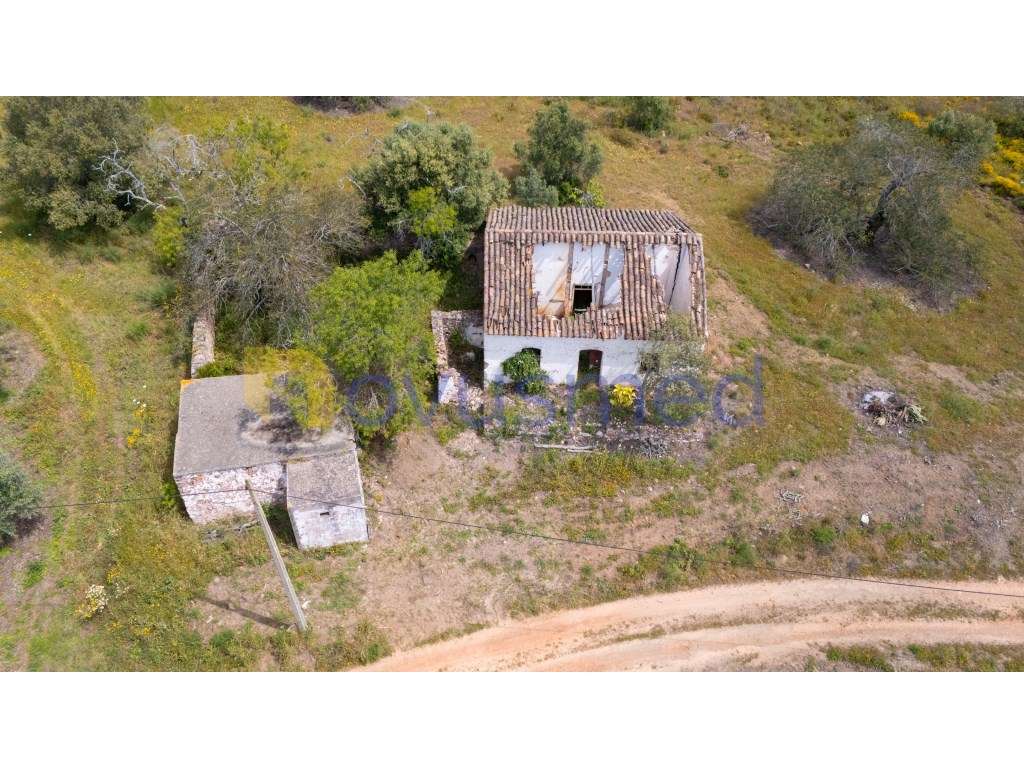 Herdade com 2.5 hectares e Ruína para reconstrução - Grande imagem: 5/45